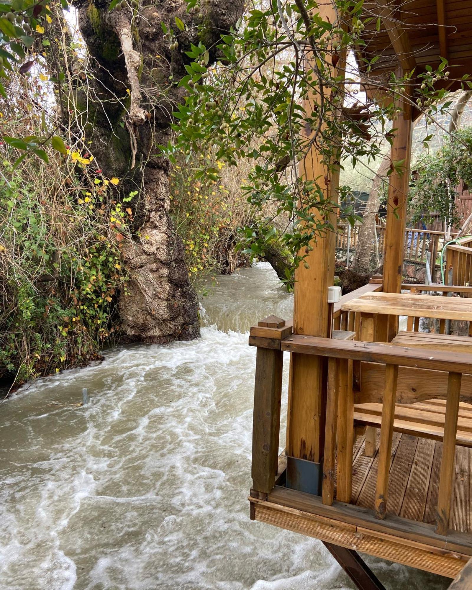 Pavelin Yeri Otel Edremit  Bagian luar foto