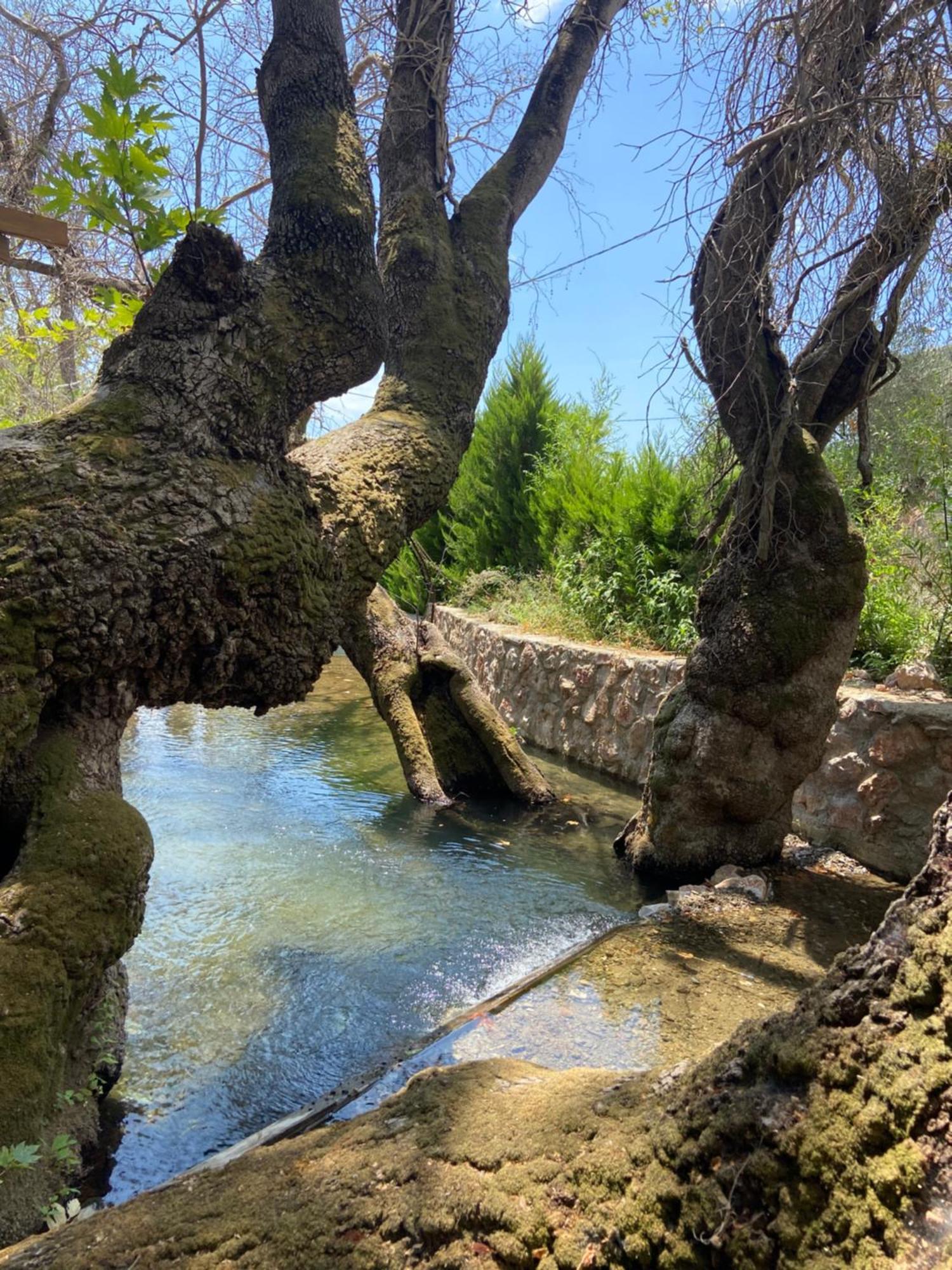 Pavelin Yeri Otel Edremit  Bagian luar foto